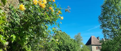 Overnatningsstedets område