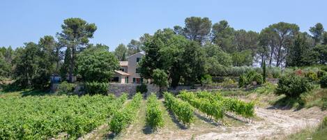 Jardines del alojamiento