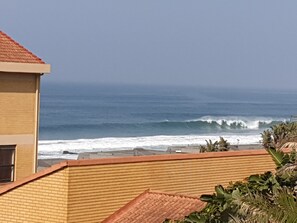 View from patio and bedrooms