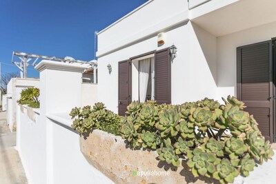 Picture of villa