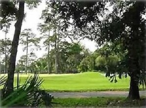 Fazio 12th hole, as viewed from the family room