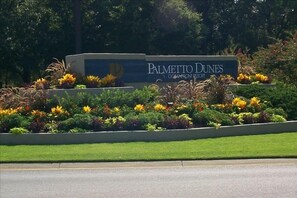 Beautiful Palmetto Dunes