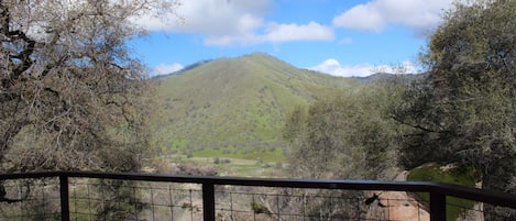 Terrain de l’hébergement 