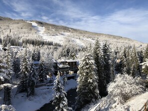 View from the balcony 