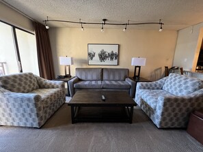 living room with pull out couch