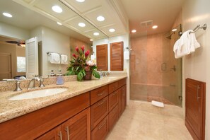Master Suite Bathroom
