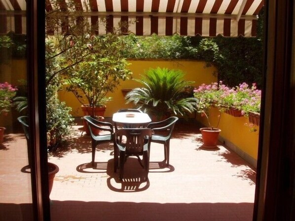 A sunny day on the terrace