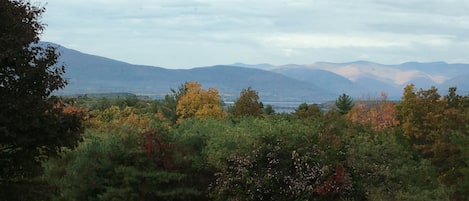View from the house