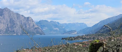 Vista dalla struttura