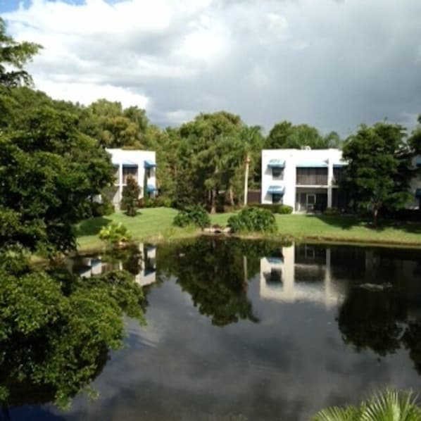 Lake Front View
