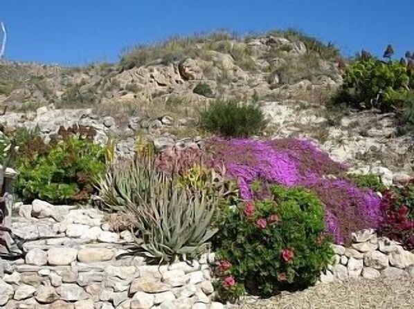 Garden & Hills