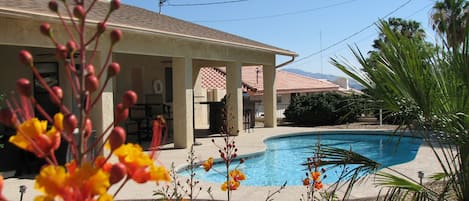 Relaxing back yard with pool