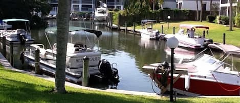 View from the lanai. We've seen manatees come in from the intercoastal water.