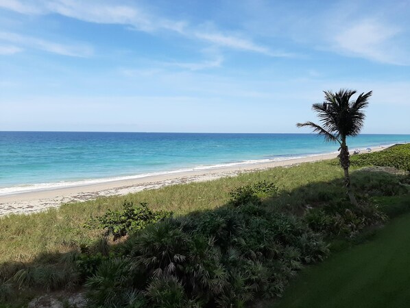 View from the Balcony