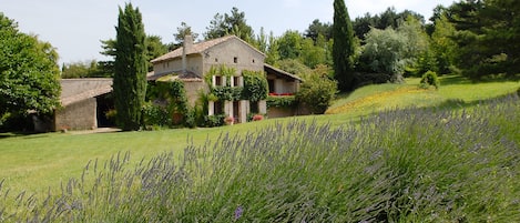 Jardines del alojamiento