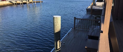 View of wetlands from Dock