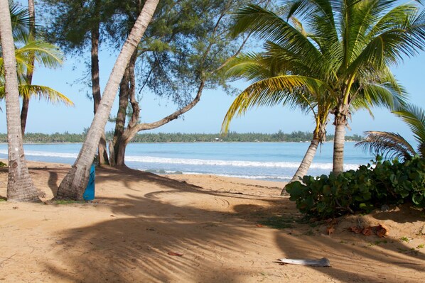 Strand