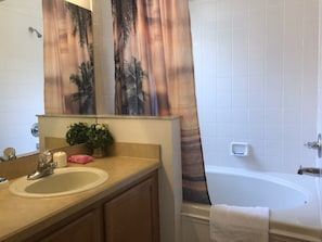 Master bathroom 2
