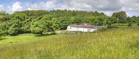 Abbotsway Cottage is peaceful and private with no neighbours