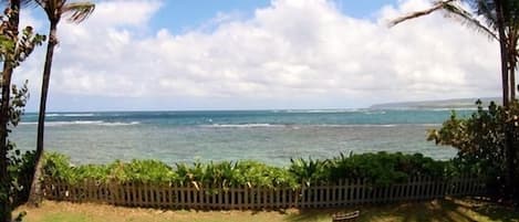 Oceanfront large level yard. Another day in paradise