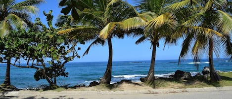 View from the front porch/front door.