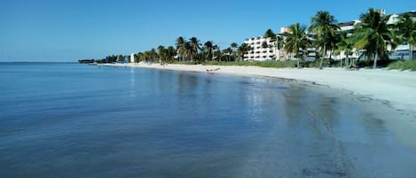 Playa