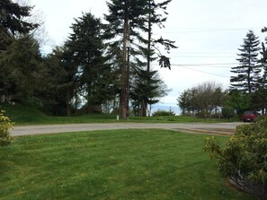 Nature trails begin across the grassy area