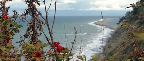 Looking east toward world famous Dungeness Spit