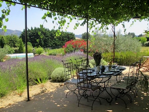Vacation rental SAINT REMY DE PROVENCE house for rent terrace
