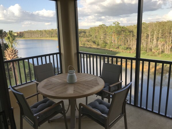 We see alligators, deer, ducks, eagles, turtles, rabbits, etc. from our lanai!