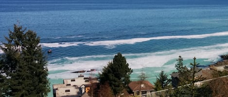 Herring season in March.  View from the deck of Big Vista.