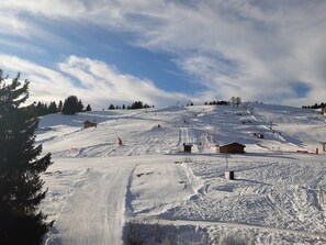 Sneeuw- en skisporten