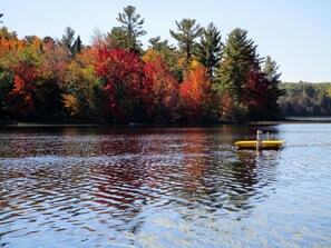 Fall Colors