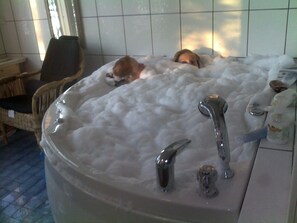 Jacuzzi and steam sauna