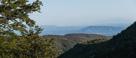 Vue vers la plaine du Languedoc depuis Belsoleil