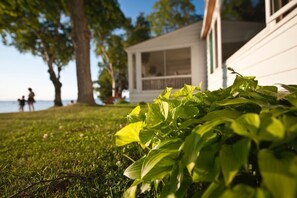 The golden hour on the Jolli-Lodge lawn