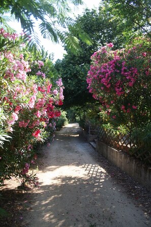 Jardines del alojamiento