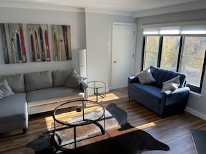 Family room with 2 sleeper sofas & exit to balcony