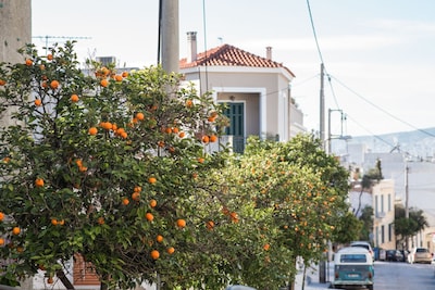 Φωλιά, μόλις μερικά βήματα από την Ακρόπολη!