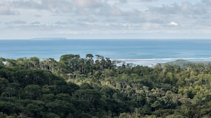 Wide open view of the whales tail and jungle 