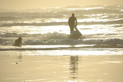 Free 3rd Night thru May! Walk Miles Of Quiet, Pristine Beach... Pet Friendly!