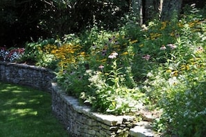 SIDE GARDEN