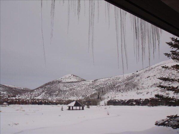 Back yard view.