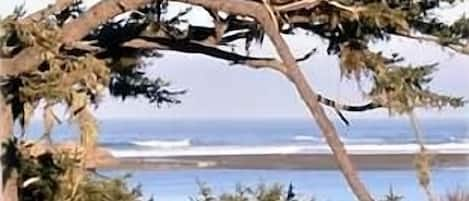 Ocean View from the Deck on a Sunny Day