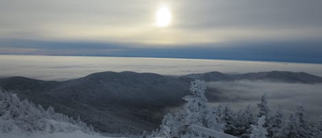 First tracks from the top