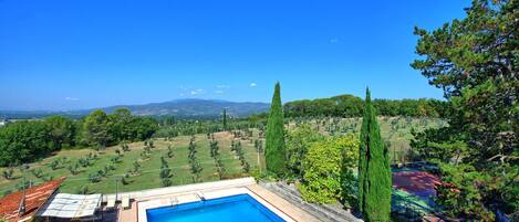 Garden, Pool