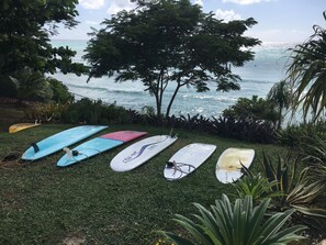 Surfing lessons are offered by several locals, including board rentals