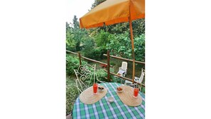 table in the garden