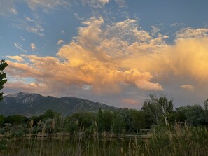 ❤️ sunset over the wetlands. Perfect for an evening stroll. 