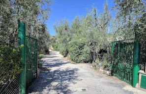 Property grounds